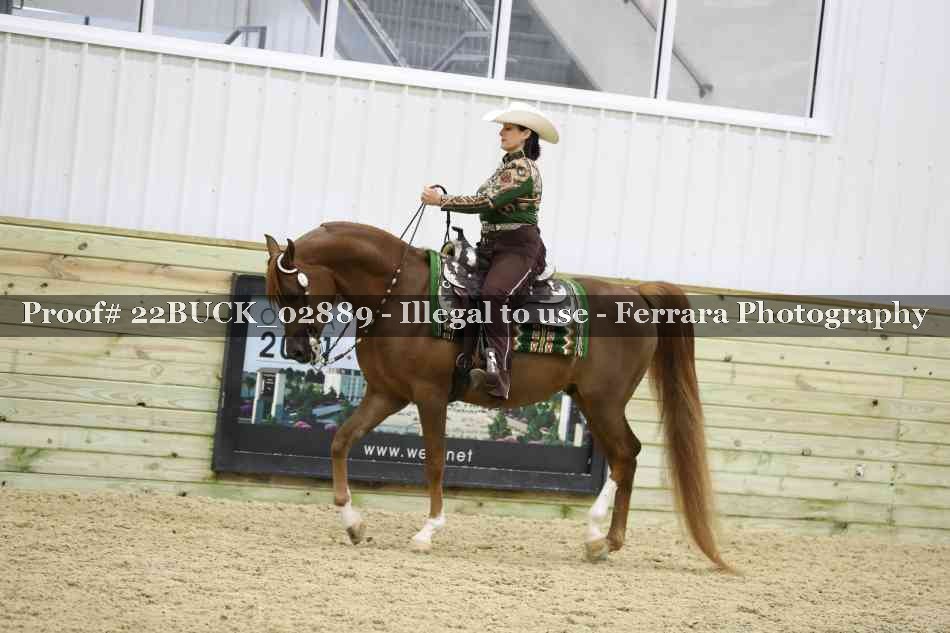 Proof 22BUCK_02889