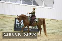 22BUCK_02889 proof
