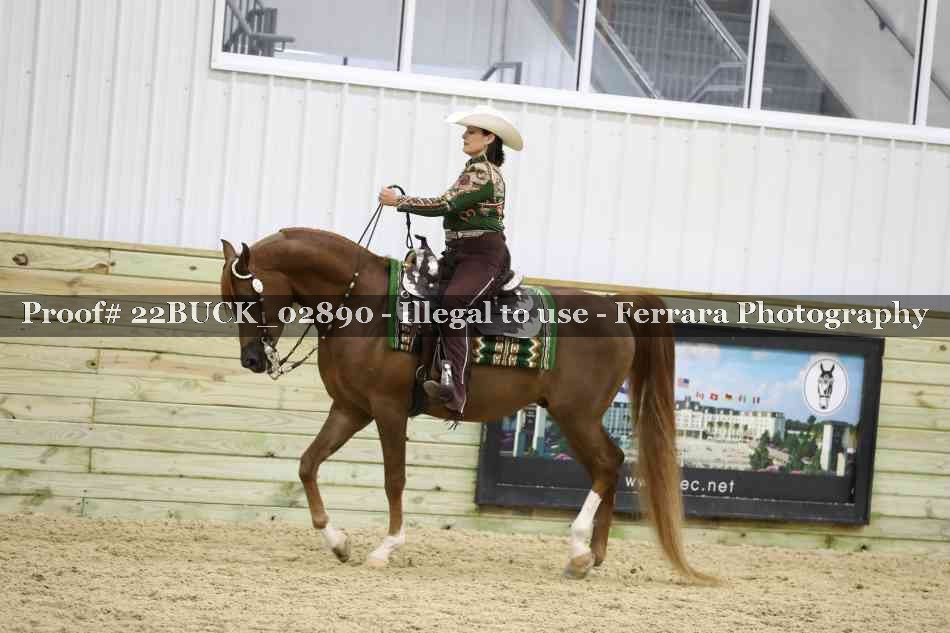 Proof 22BUCK_02890