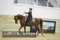 22BUCK_02890 proof