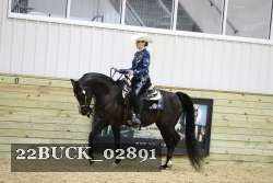 22BUCK_02891 proof