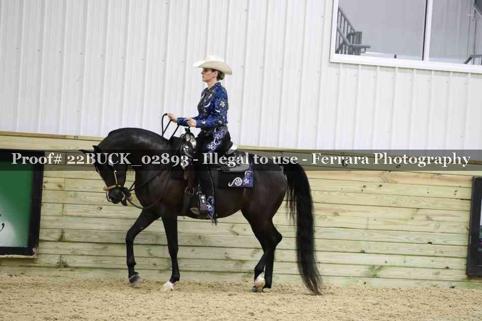 Proof 22BUCK_02893