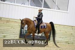 22BUCK_02894 proof