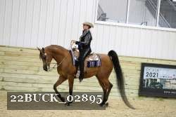 22BUCK_02895 proof