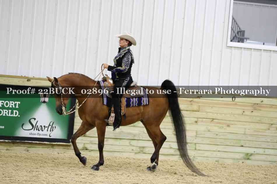 Proof 22BUCK_02896