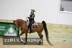 22BUCK_02896 proof