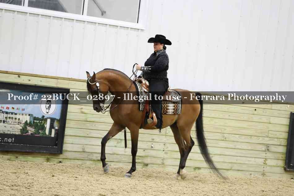 Proof 22BUCK_02897