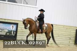 22BUCK_02897 proof