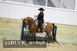 22BUCK_02898 proof