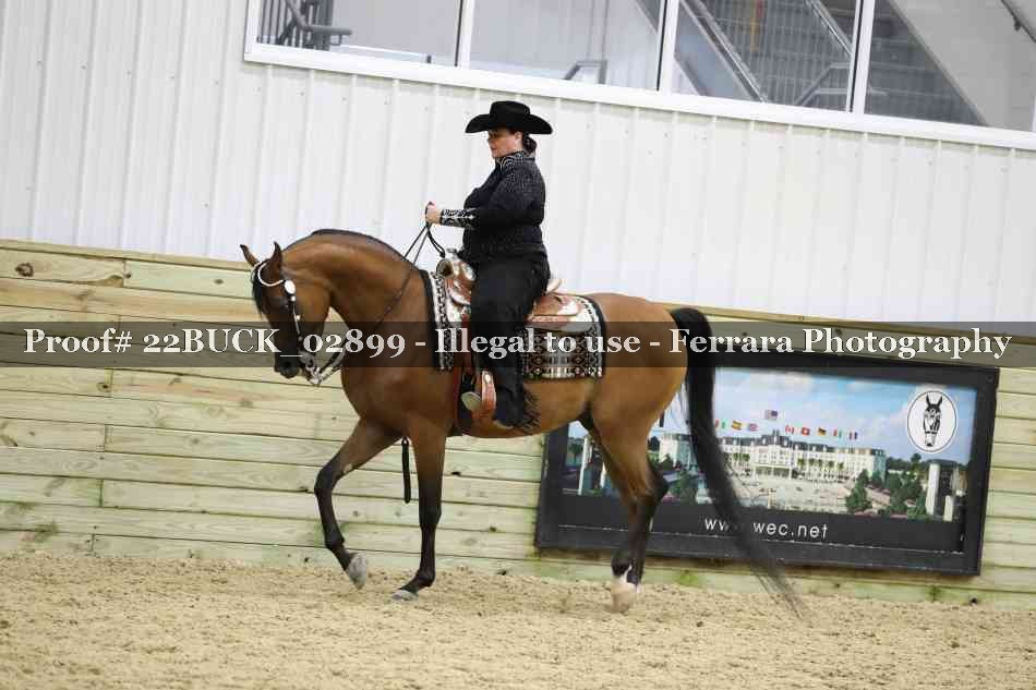 Proof 22BUCK_02899