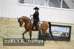 22BUCK_02899 proof