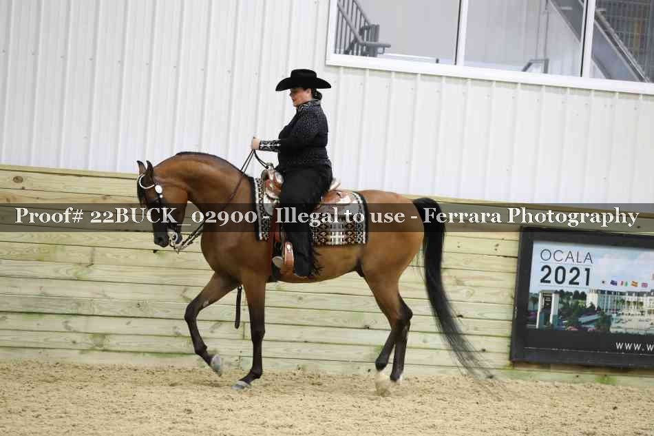 Proof 22BUCK_02900