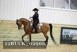 22BUCK_02900 proof