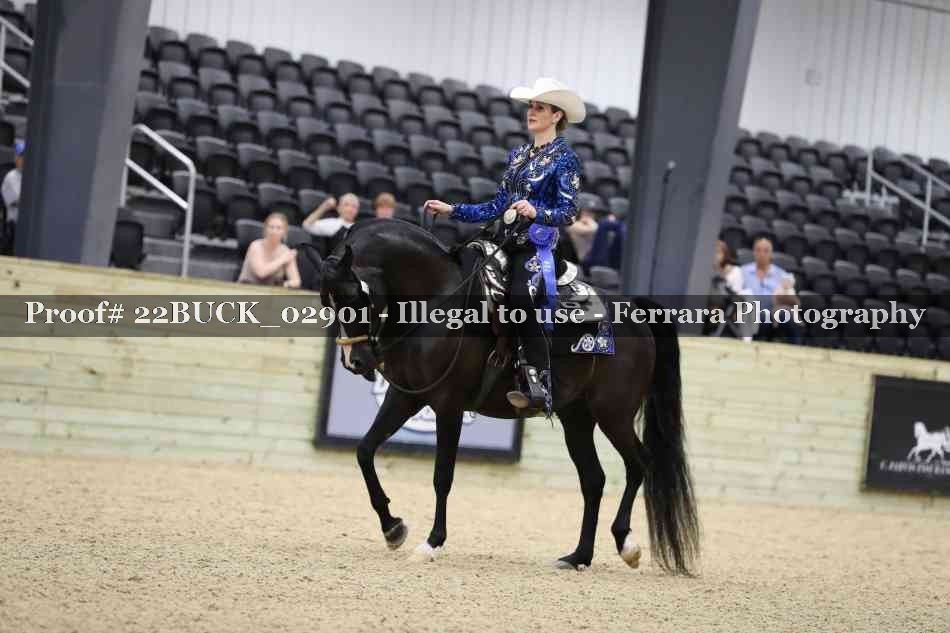 Proof 22BUCK_02901