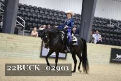 22BUCK_02901 proof