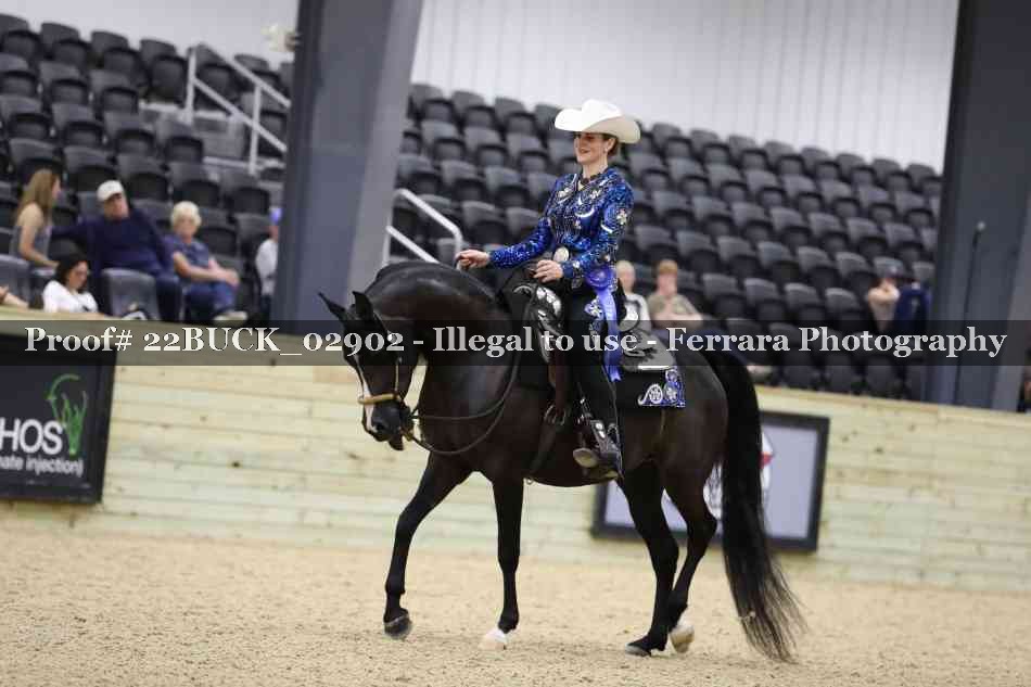 Proof 22BUCK_02902