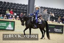 22BUCK_02904 proof