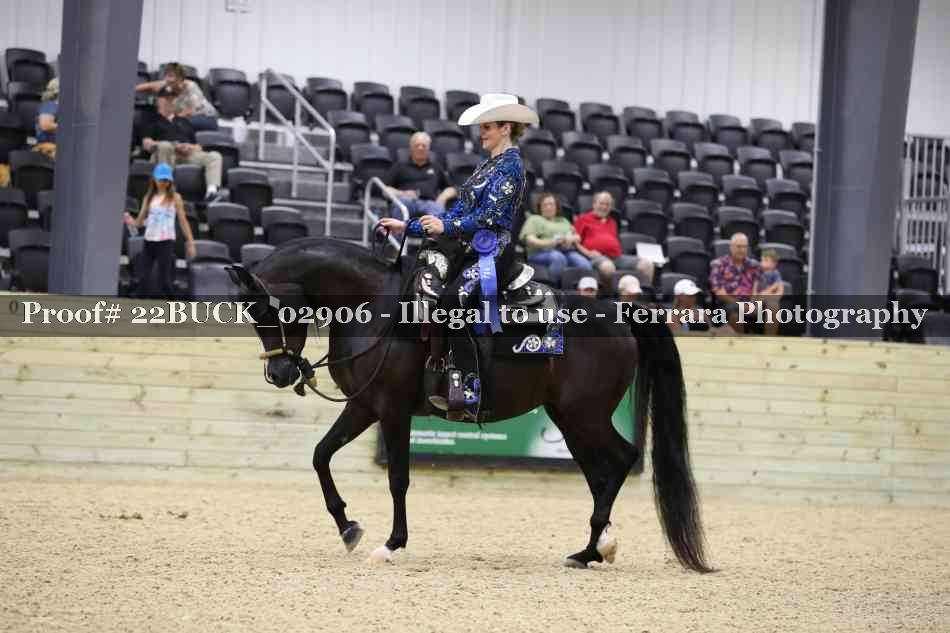Proof 22BUCK_02906