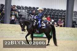 22BUCK_02906 proof