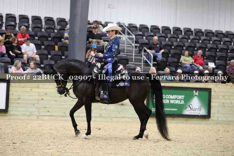 Proof 22BUCK_02907