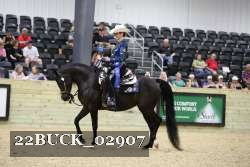 22BUCK_02907 proof