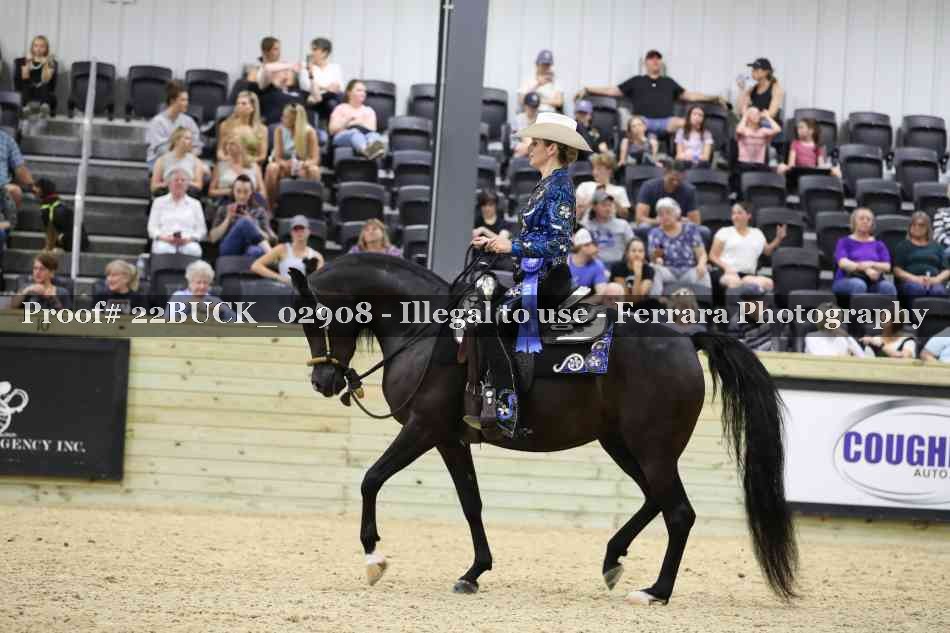 Proof 22BUCK_02908