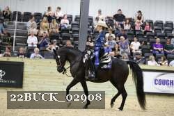 22BUCK_02908 proof