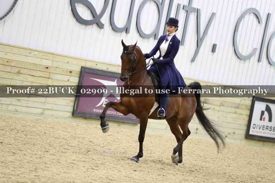 Proof 22BUCK_02909