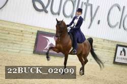 22BUCK_02909 proof