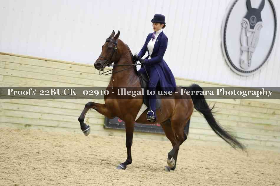 Proof 22BUCK_02910