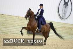22BUCK_02910 proof