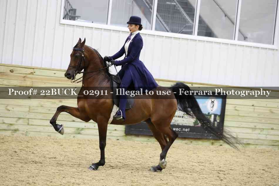 Proof 22BUCK_02911