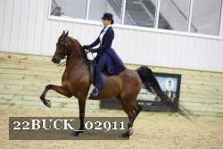 22BUCK_02911 proof