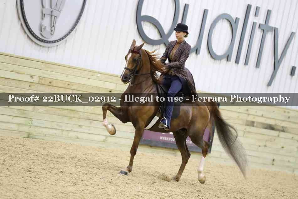 Proof 22BUCK_02912