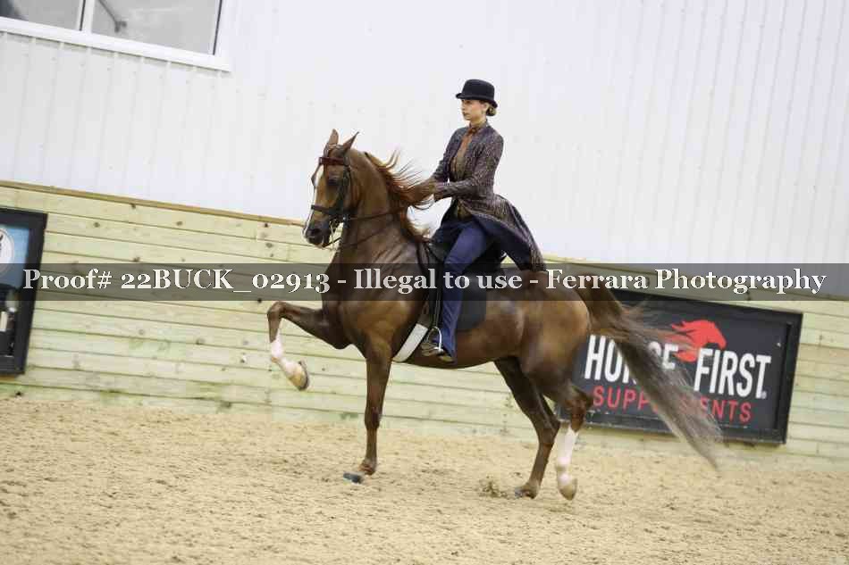 Proof 22BUCK_02913