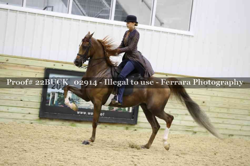 Proof 22BUCK_02914