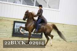 22BUCK_02914 proof