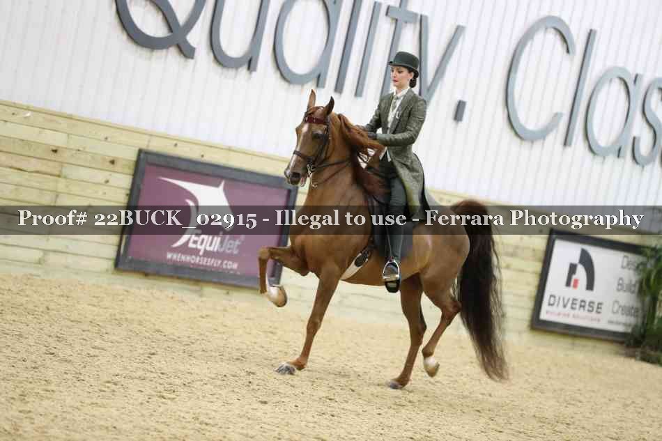 Proof 22BUCK_02915