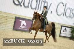22BUCK_02915 proof