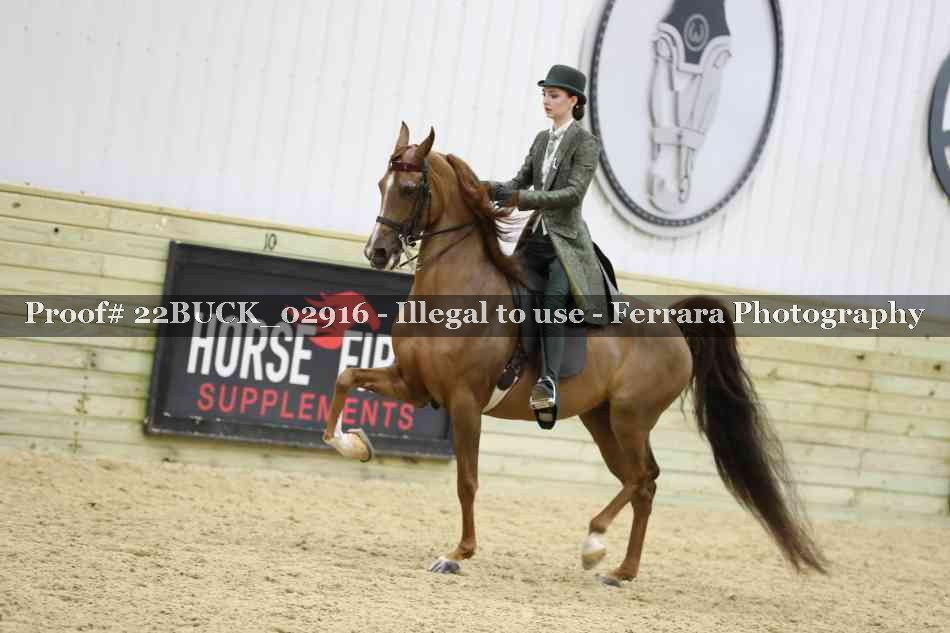 Proof 22BUCK_02916