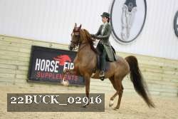 22BUCK_02916 proof