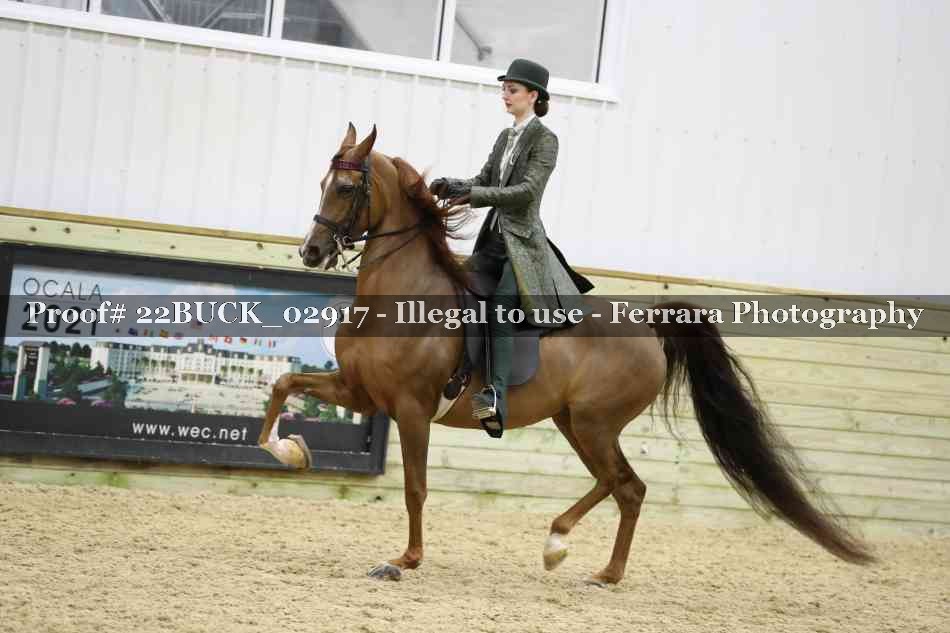 Proof 22BUCK_02917
