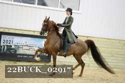 22BUCK_02917 proof