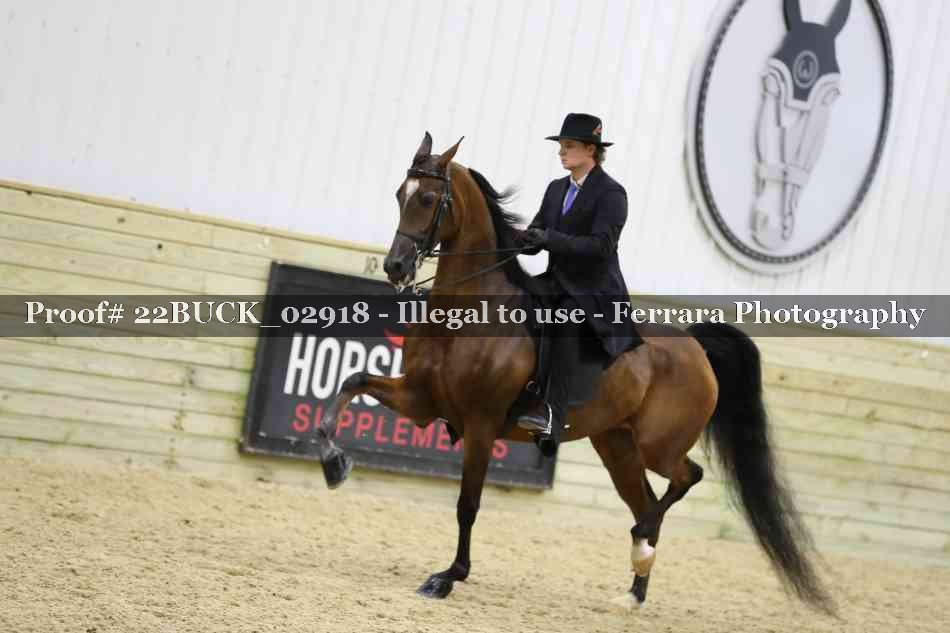 Proof 22BUCK_02918
