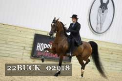 22BUCK_02918 proof