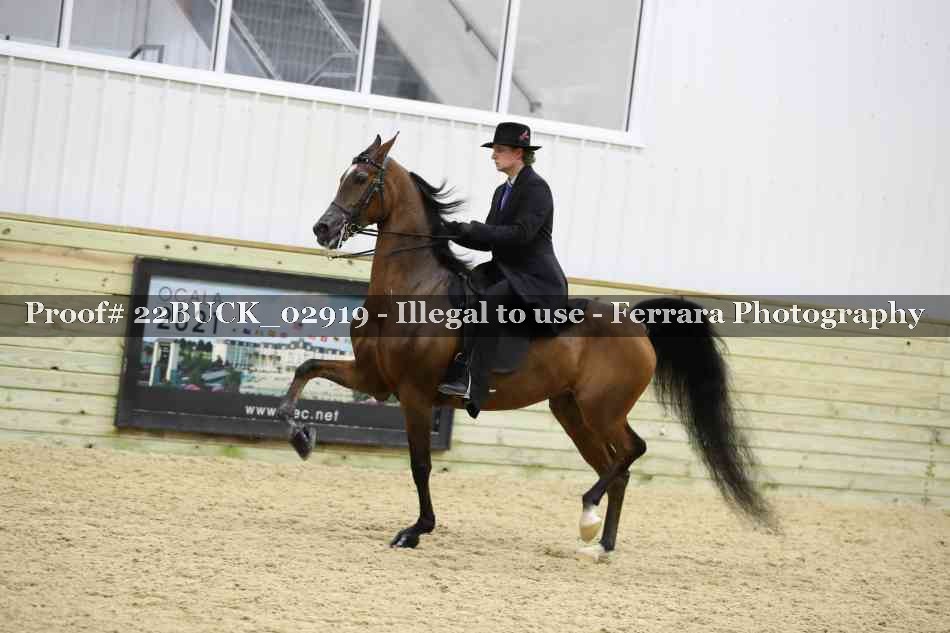 Proof 22BUCK_02919