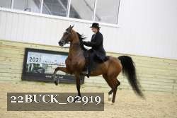 22BUCK_02919 proof