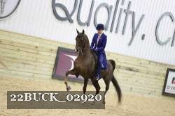 22BUCK_02920 proof