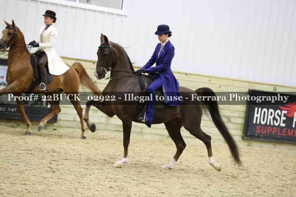 Proof 22BUCK_02922