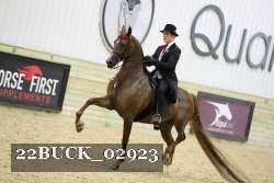 22BUCK_02923 proof